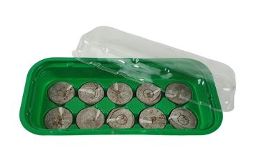 Preview: Anzuchtset inkl. 10 Quelltabs grün